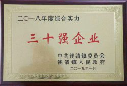 公司被錢清鎮(zhèn)黨委、鎮(zhèn)政府評(píng)為“2018年錢清鎮(zhèn)綜合實(shí)力三十強(qiáng)企業(yè)”