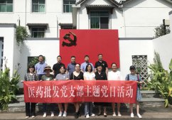 醫(yī)藥批發(fā)黨支部赴下姜村開展主題黨日活動